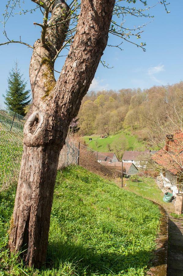 Platell Ferienhaeuser Harz Lerbach 외부 사진